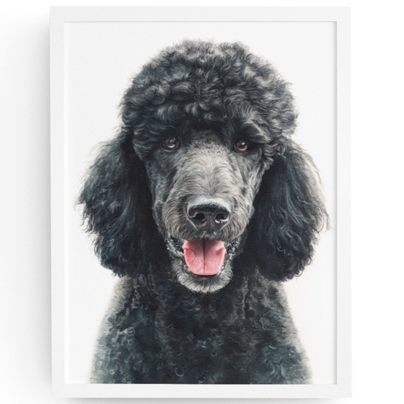 Watercolor Black Poodle Portrait Wall Art Print Poster, Unframed - Pet Artwork - Picture 1 of 6
